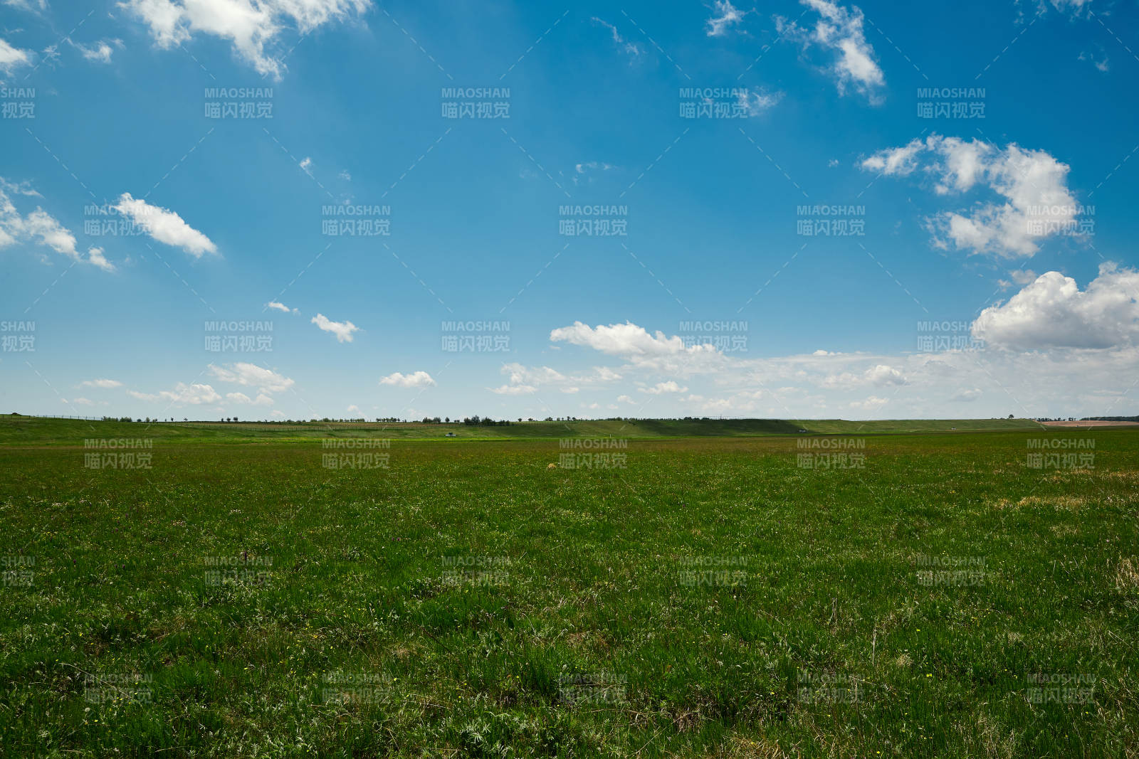 中国河北省张家口沽源县天鹅湖景区湿地花海图片