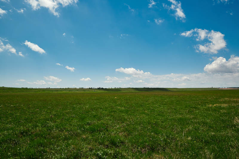 中国河北省张家口沽源县天鹅湖景区湿地花海图片