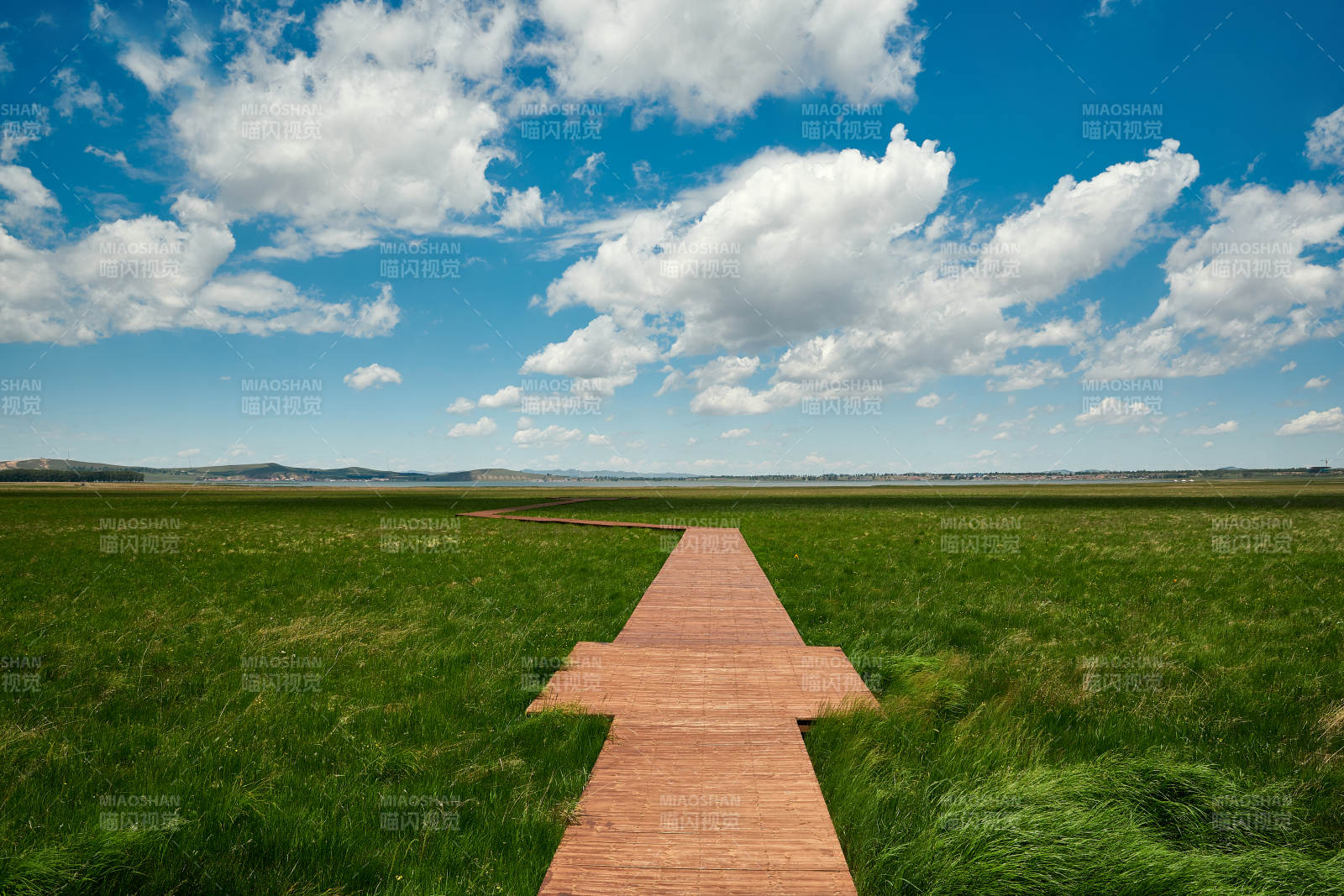 中国河北省张家口沽源县天鹅湖景区湿地花海图片