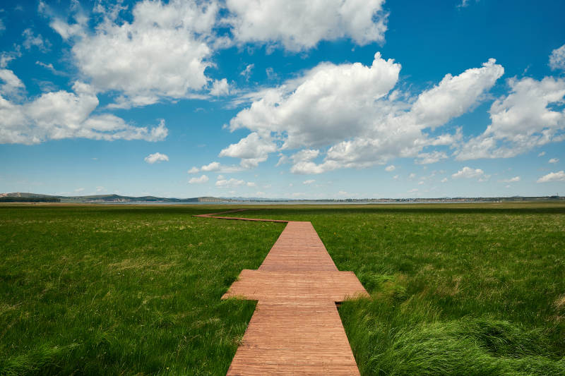中国河北省张家口沽源县天鹅湖景区湿地花海图片