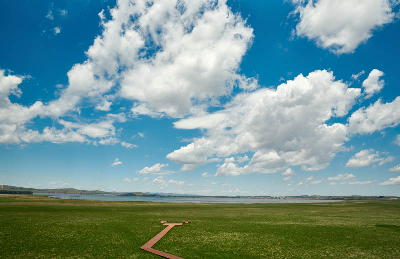 中国河北省张家口沽源县天鹅湖景区湿地花海图片