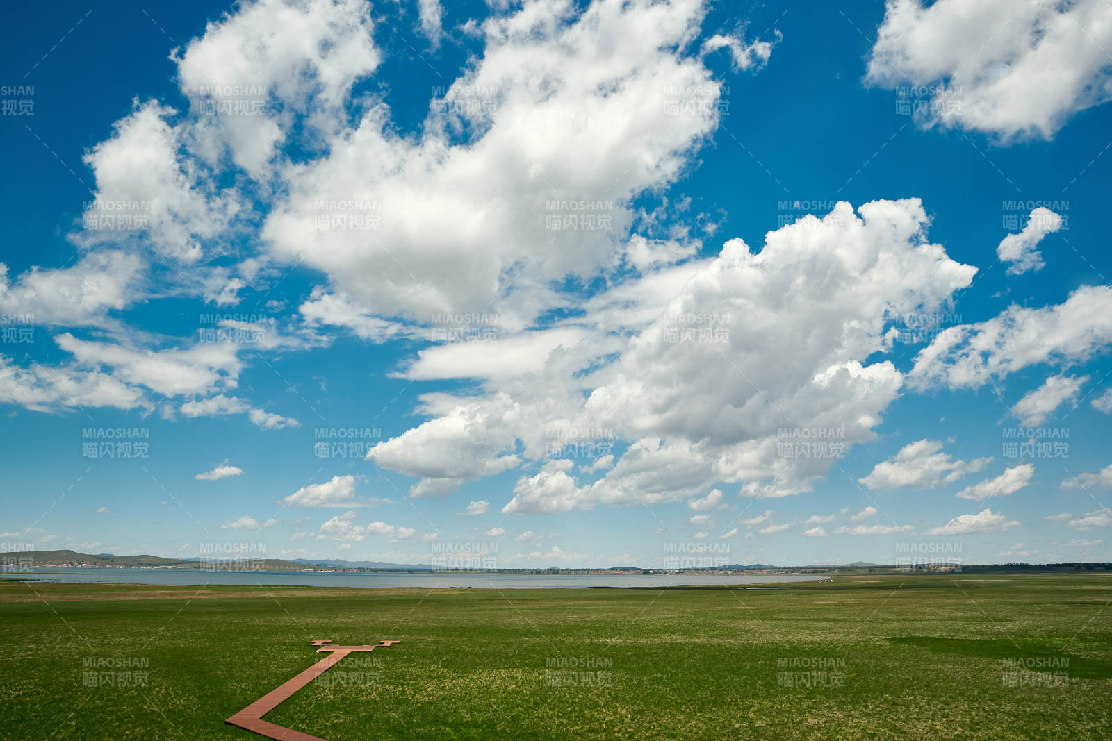 中国河北省张家口沽源县天鹅湖景区湿地花海图片