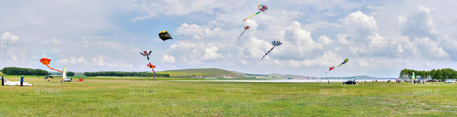 在坝上草原举行的国际风筝大型赛事图片
