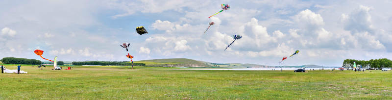 在坝上草原举行的国际风筝大型赛事图片