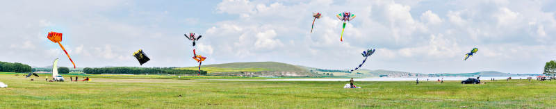 在坝上草原举行的国际风筝大型赛事图片