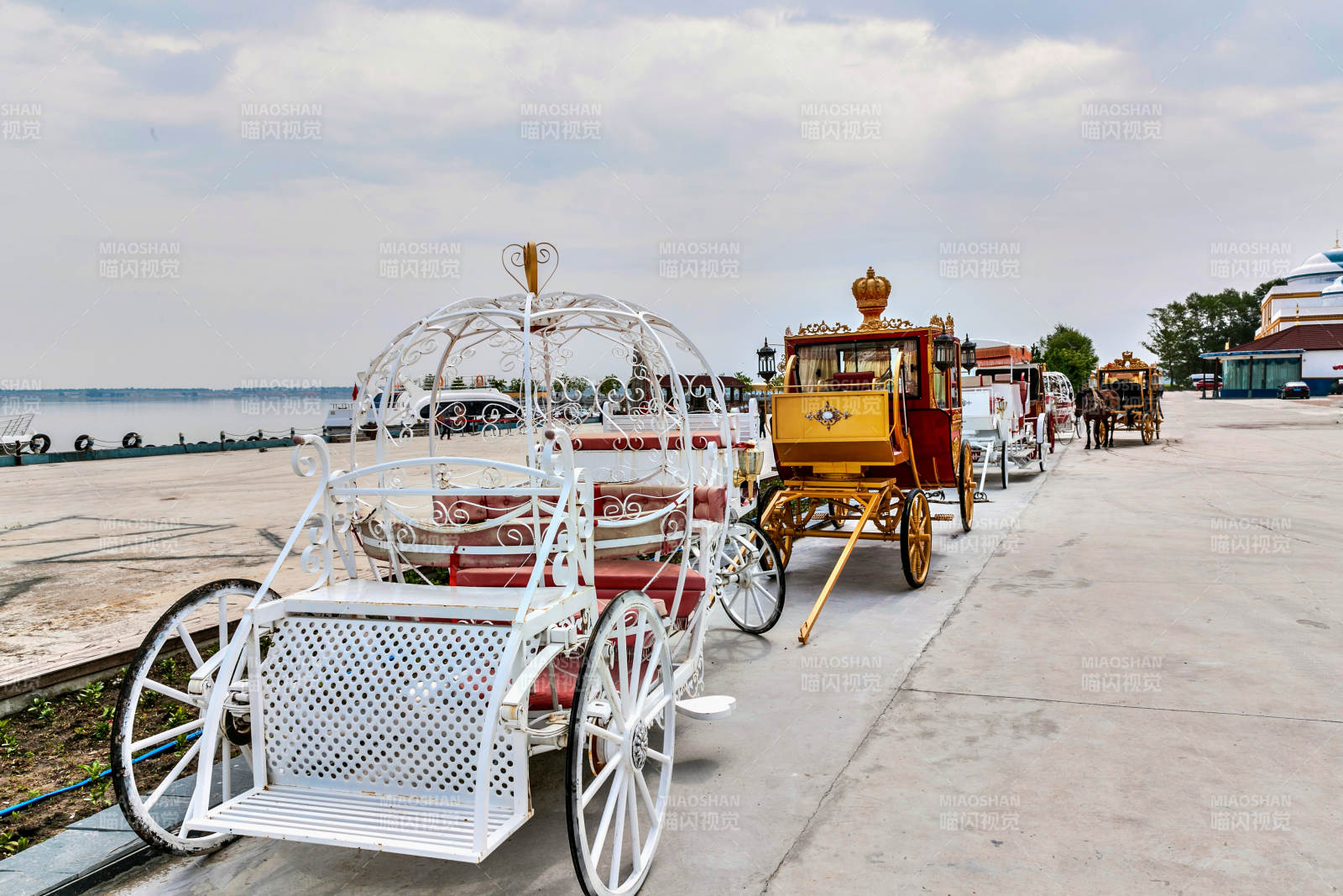 天鹅湖边停放的娱乐童话马车图片