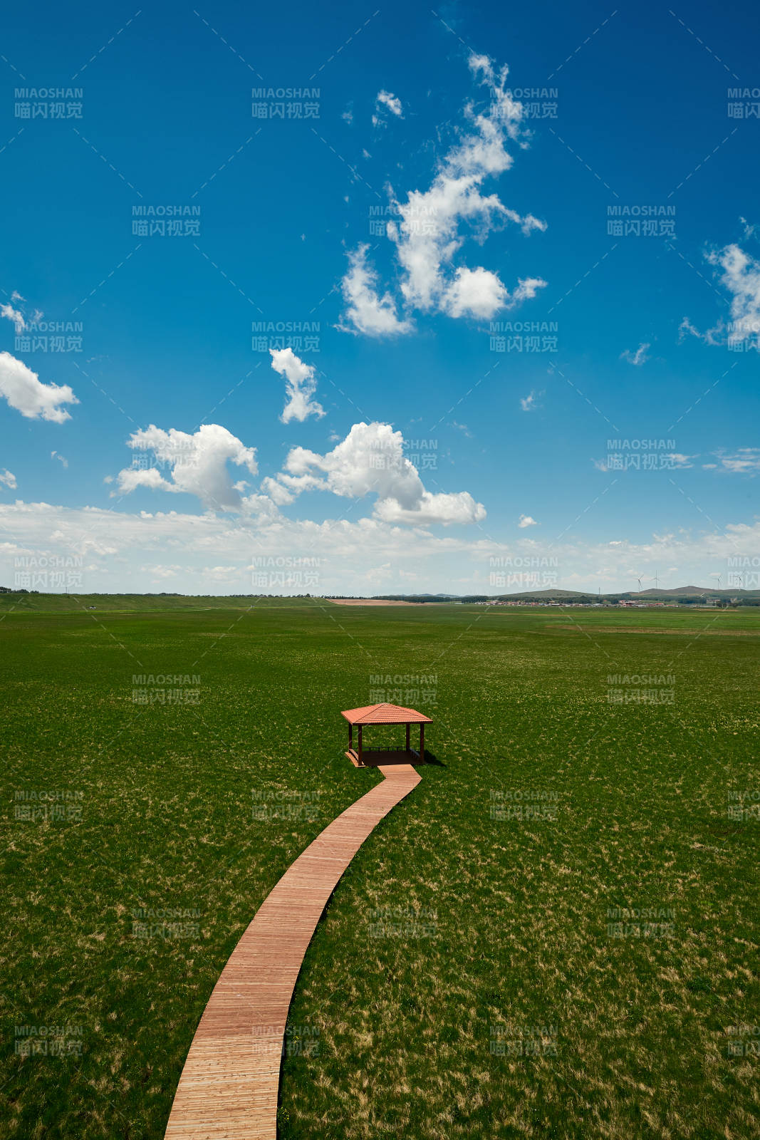 中国河北省张家口沽源县天鹅湖景区湿地花海图片