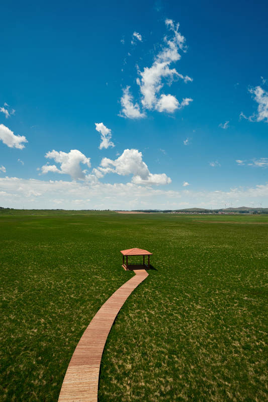 中国河北省张家口沽源县天鹅湖景区湿地花海图片