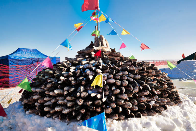 用冬捕野生湖鱼堆积的敖包图片