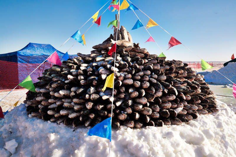 用冬捕野生湖鱼堆积的敖包图片