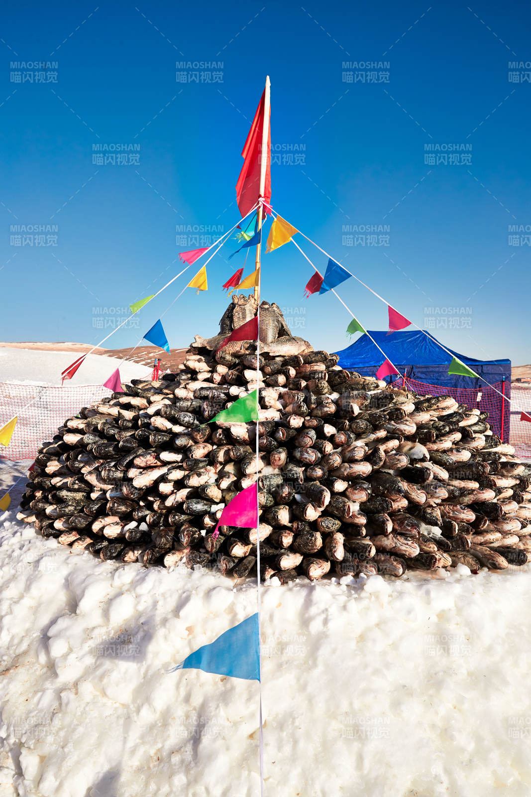 用冬捕野生湖鱼堆积的敖包图片