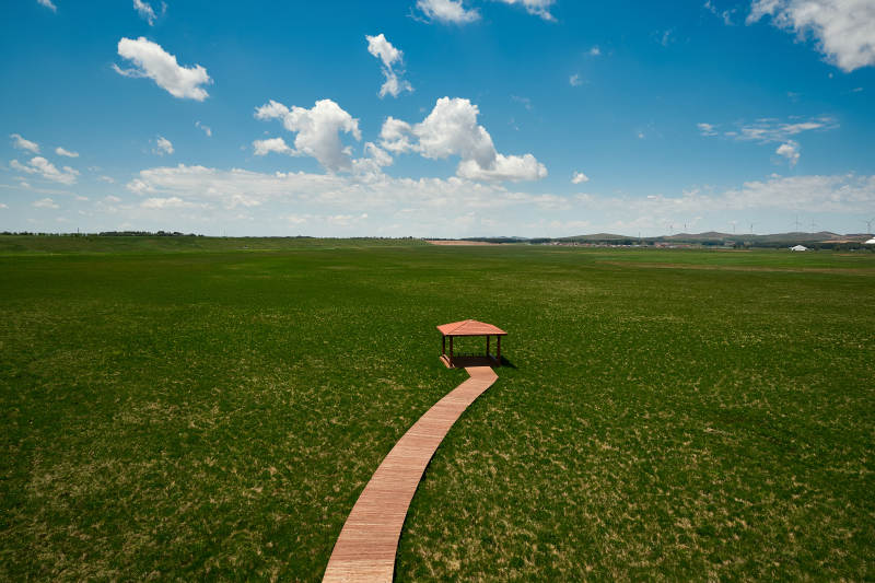 中国河北省张家口沽源县天鹅湖景区湿地花海图片