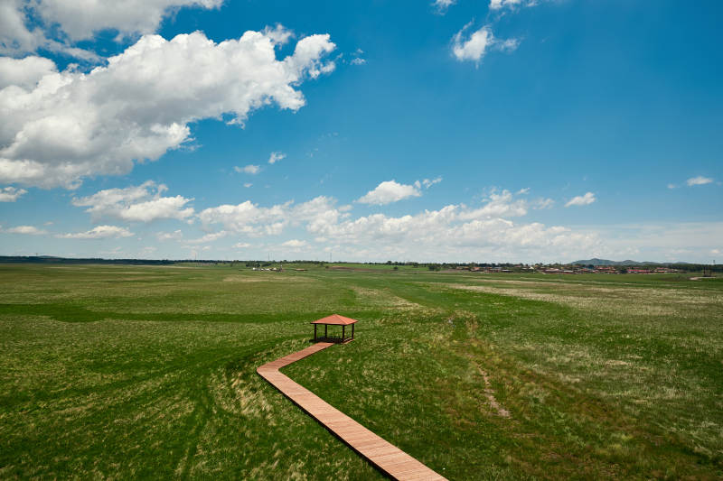 中国河北省张家口沽源县天鹅湖景区湿地花海图片