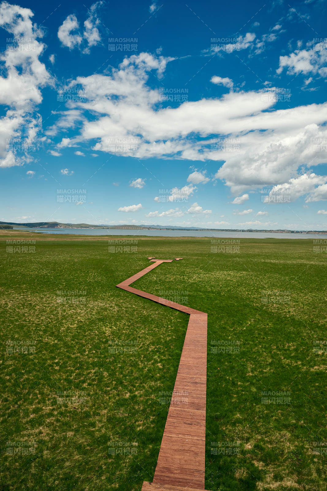 中国河北省张家口沽源县天鹅湖景区湿地花海图片