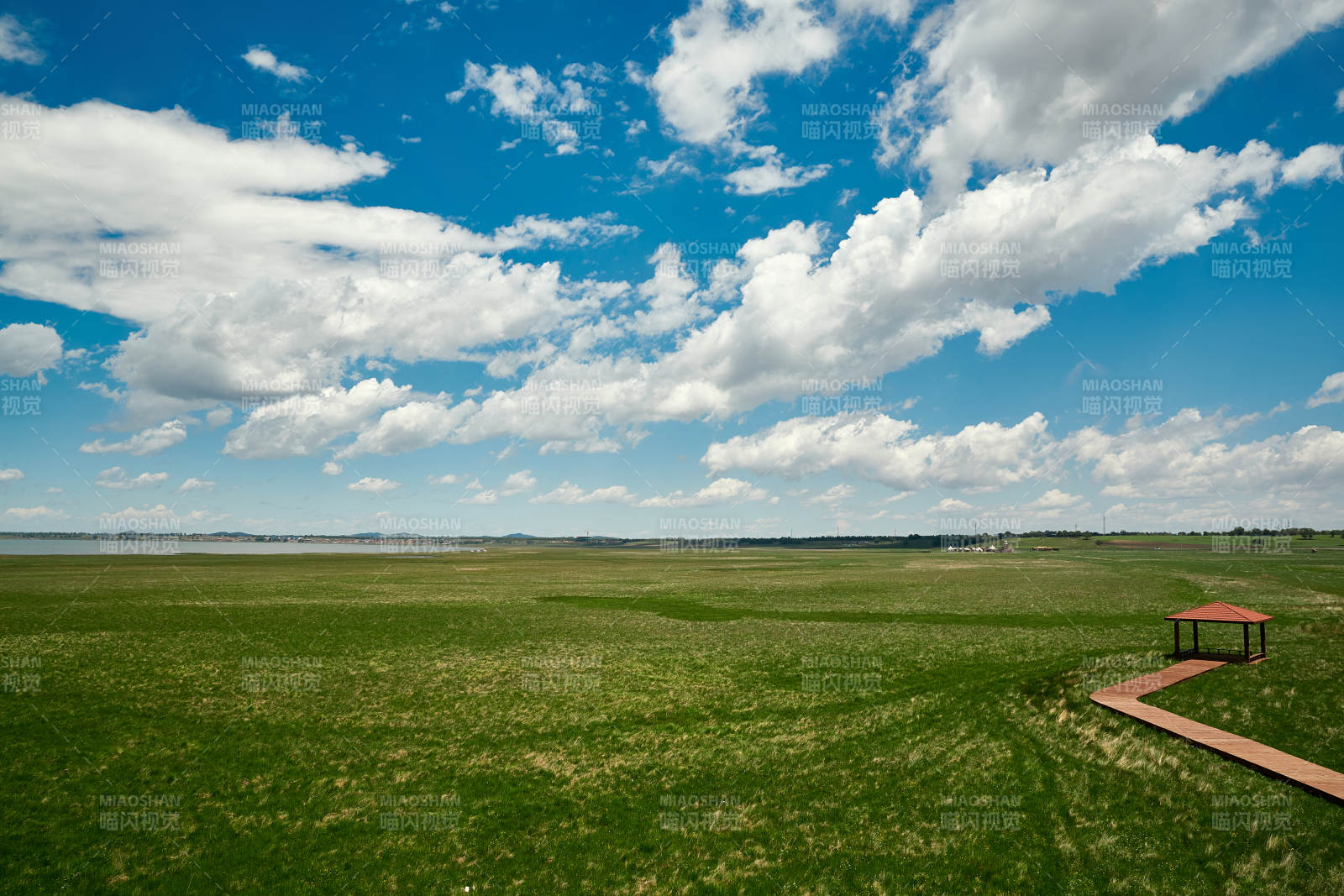 中国河北省张家口沽源县天鹅湖景区湿地花海图片