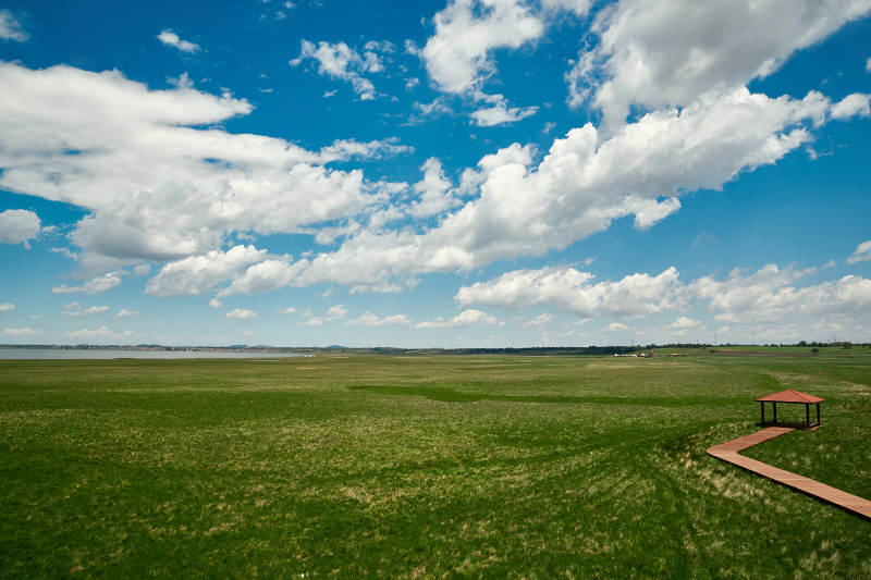 中国河北省张家口沽源县天鹅湖景区湿地花海图片