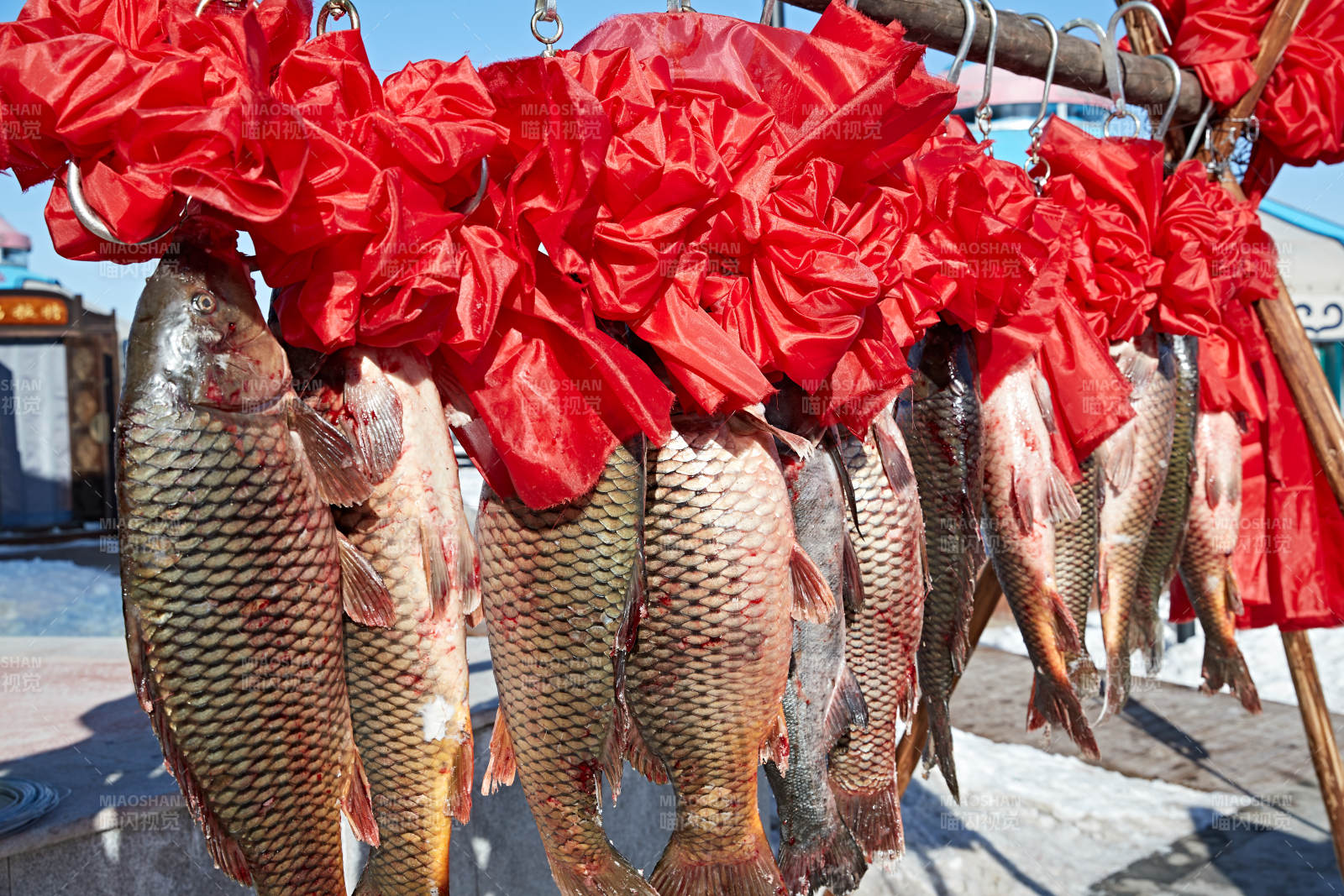冬捕湖鱼挂在广场上图片