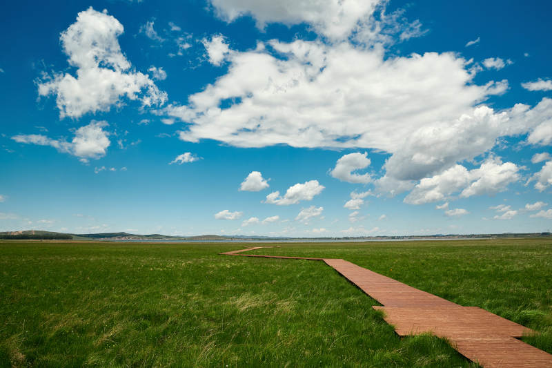 中国河北省张家口沽源县天鹅湖景区湿地花海图片