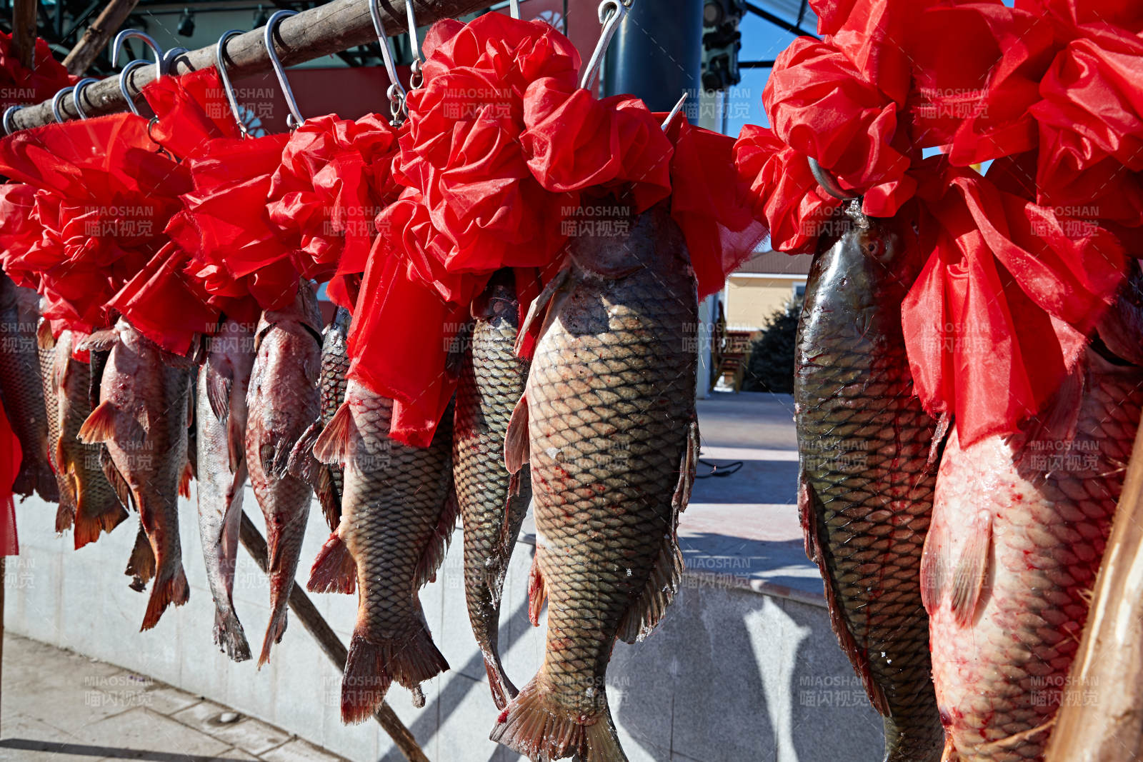 冬捕湖鱼挂在广场上图片