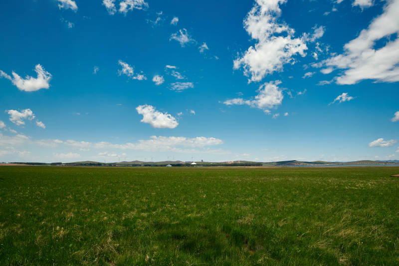 中国河北省张家口沽源县天鹅湖景区湿地花海图片