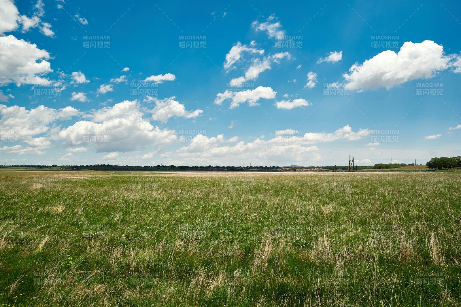 中国河北省张家口沽源县天鹅湖景区湿地花海图片
