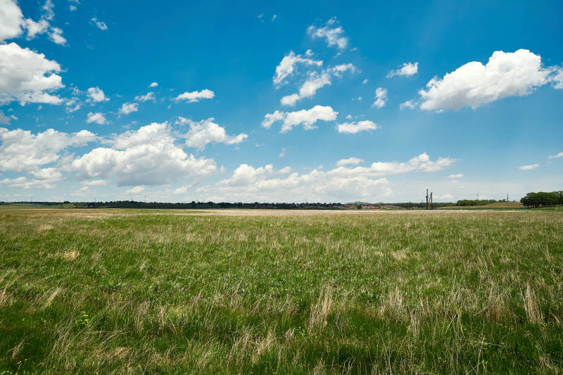 中国河北省张家口沽源县天鹅湖景区湿地花海图片