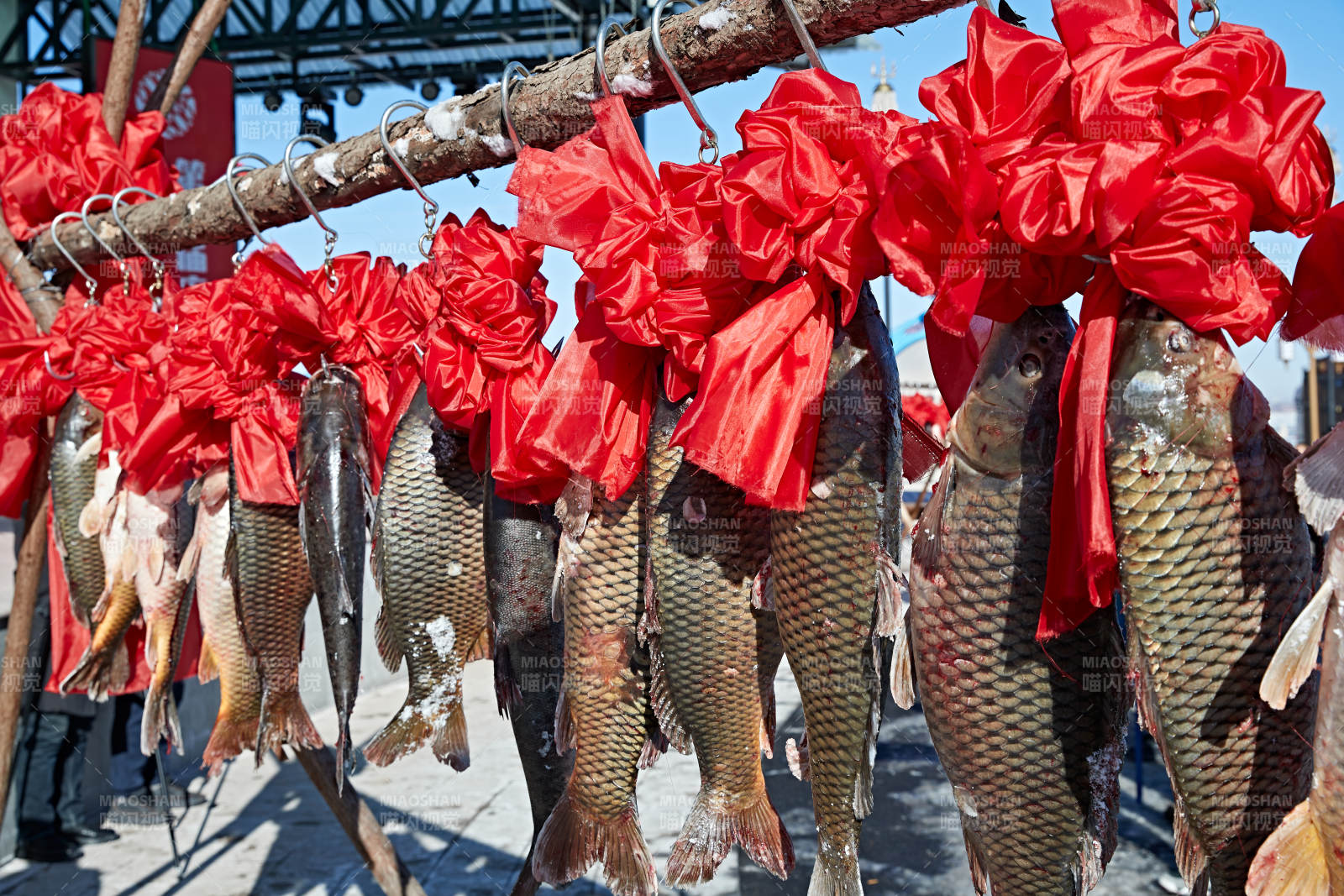 冬捕湖鱼挂在广场上图片