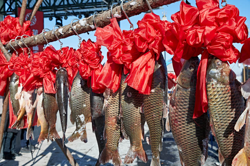 冬捕湖鱼挂在广场上图片