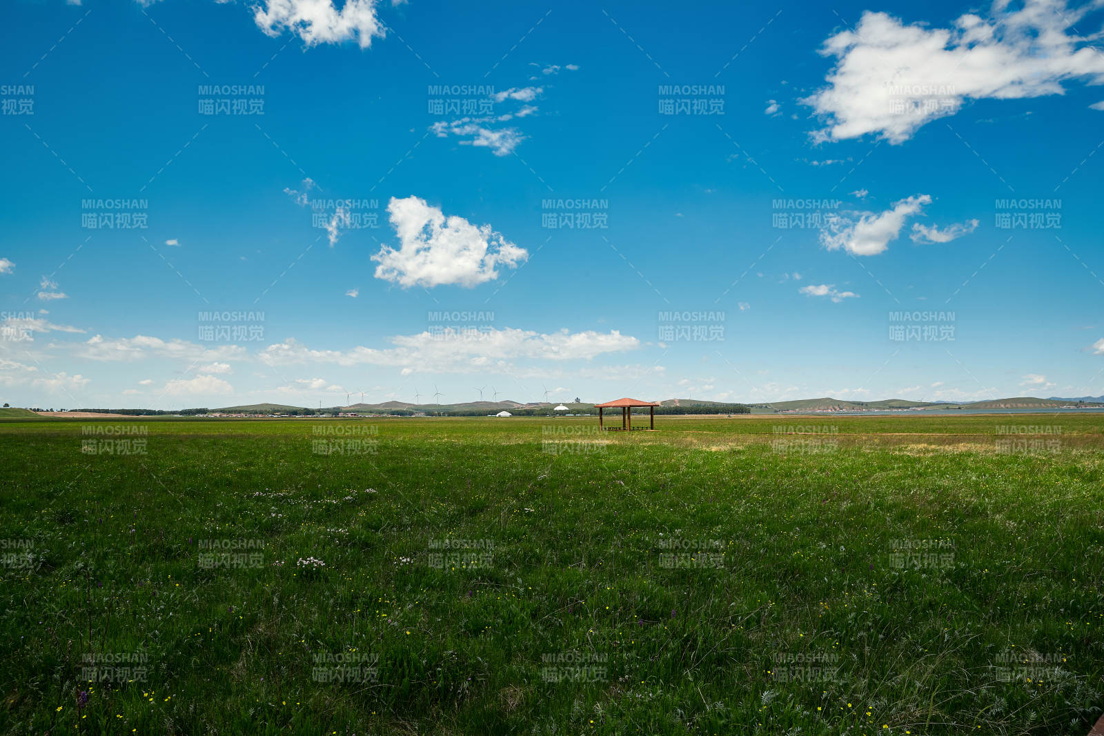 中国河北省张家口沽源县天鹅湖景区湿地花海图片