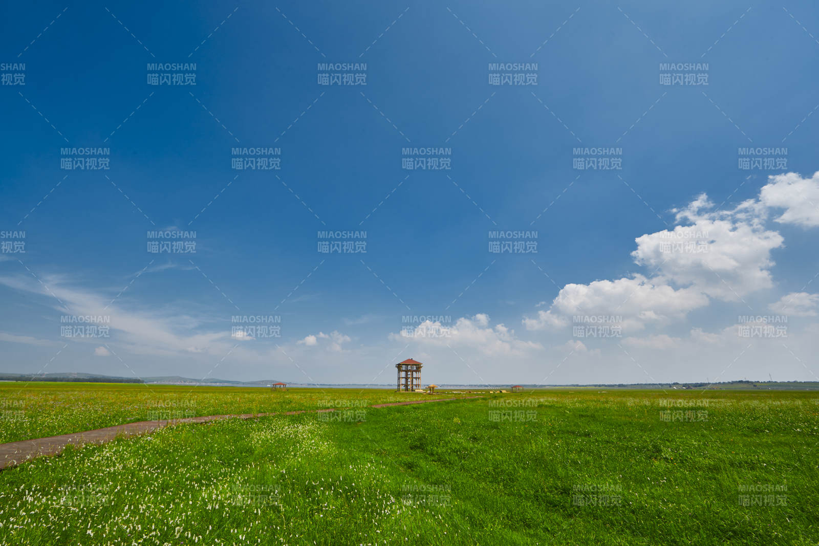 中国河北省张家口沽源县天鹅湖景区湿地花海图片