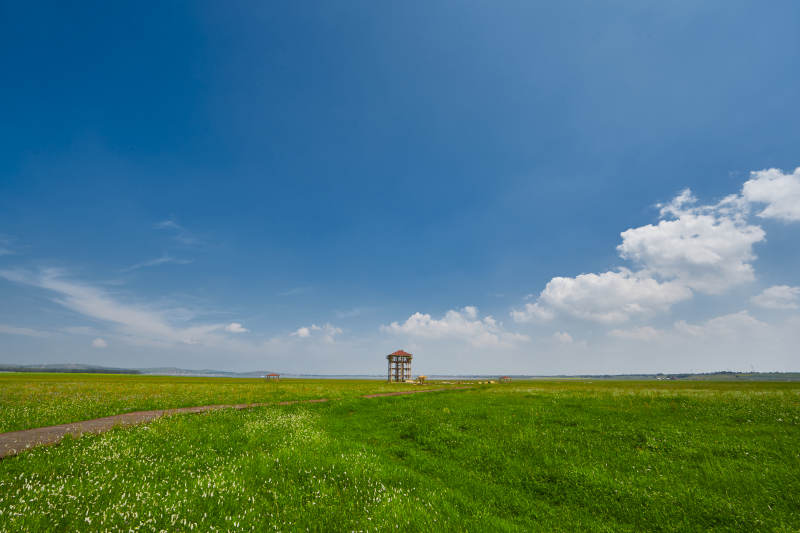 中国河北省张家口沽源县天鹅湖景区湿地花海图片