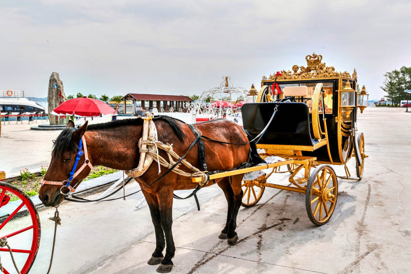 天鹅湖边停放的娱乐童话马车图片