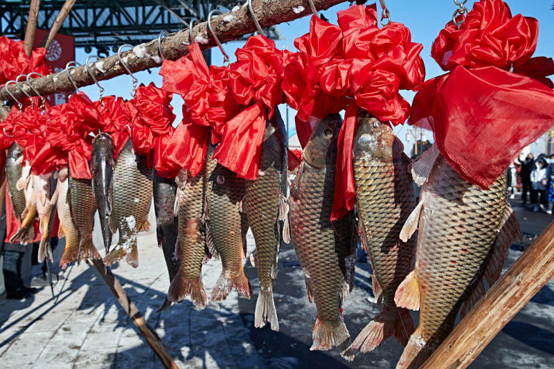 冬捕湖鱼挂在广场上图片
