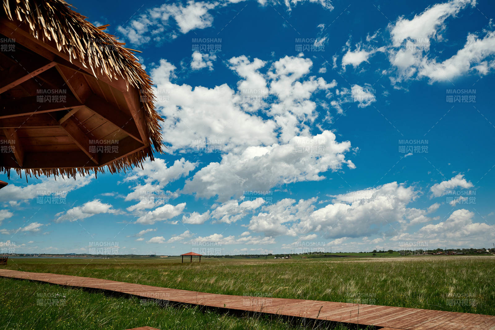 中国河北省张家口沽源县天鹅湖景区湿地花海图片