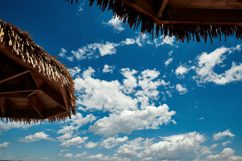 中国河北省张家口沽源县天鹅湖景区湿地花海图片