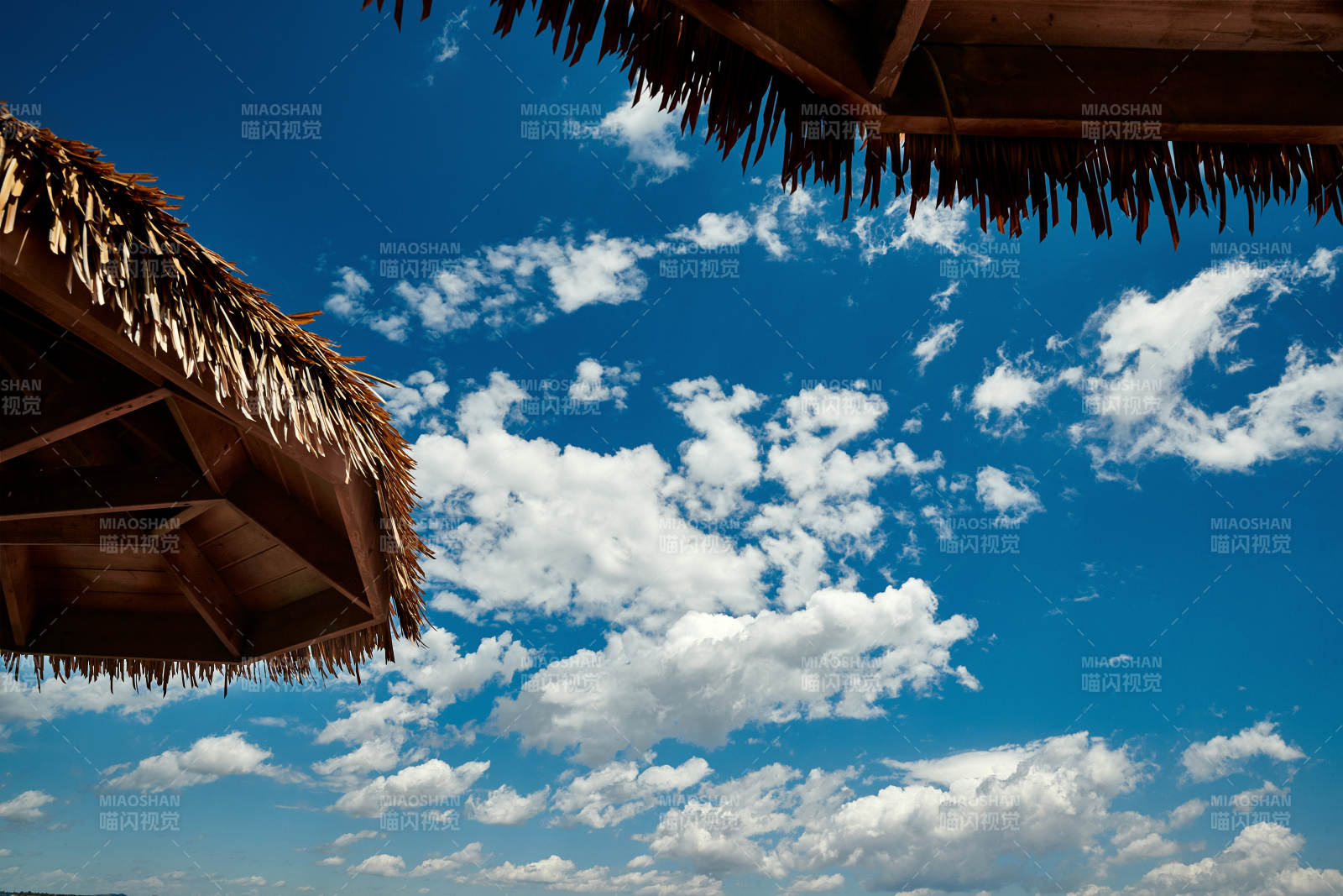 中国河北省张家口沽源县天鹅湖景区湿地花海图片