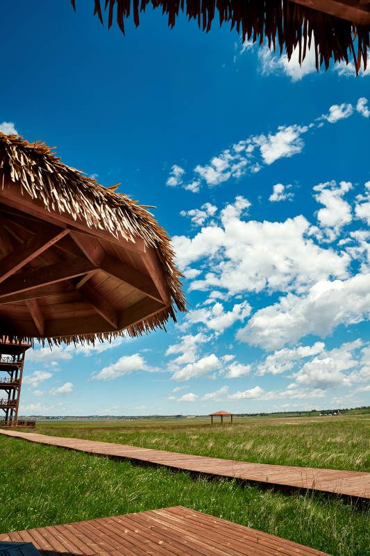 中国河北省张家口沽源县天鹅湖景区湿地花海图片