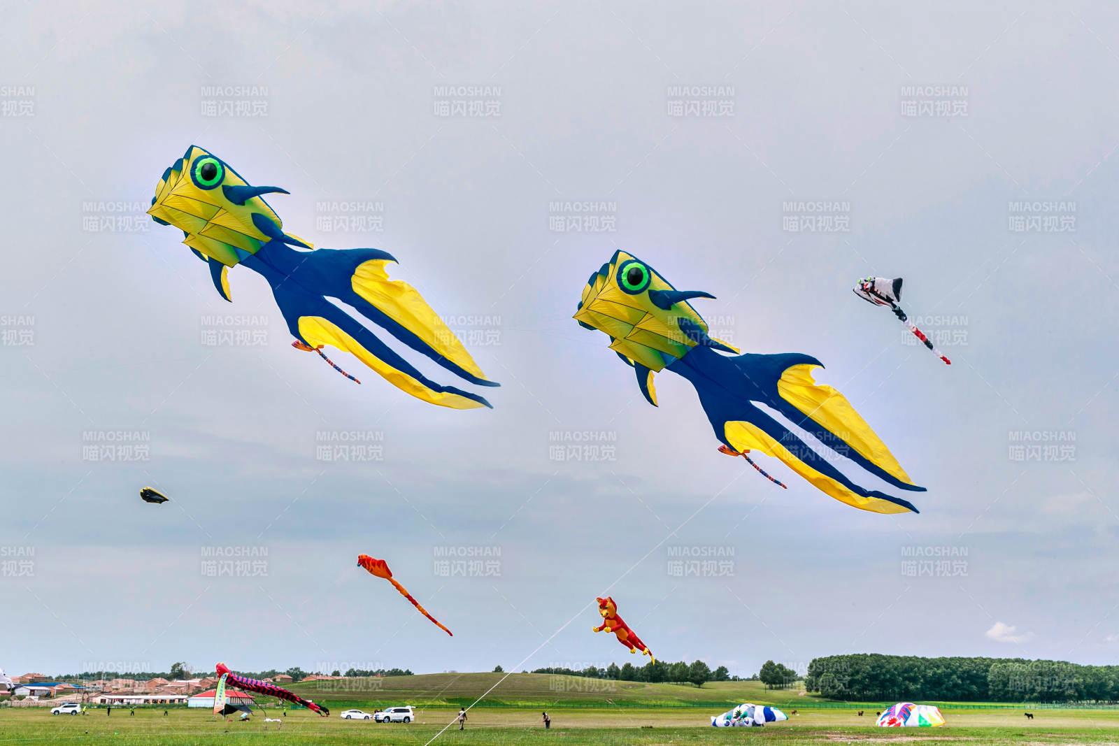 在坝上草原举行的国际风筝大型赛事图片