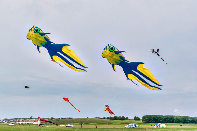 在坝上草原举行的国际风筝大型赛事图片