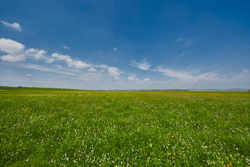 中国河北省张家口沽源县天鹅湖景区湿地花海图片