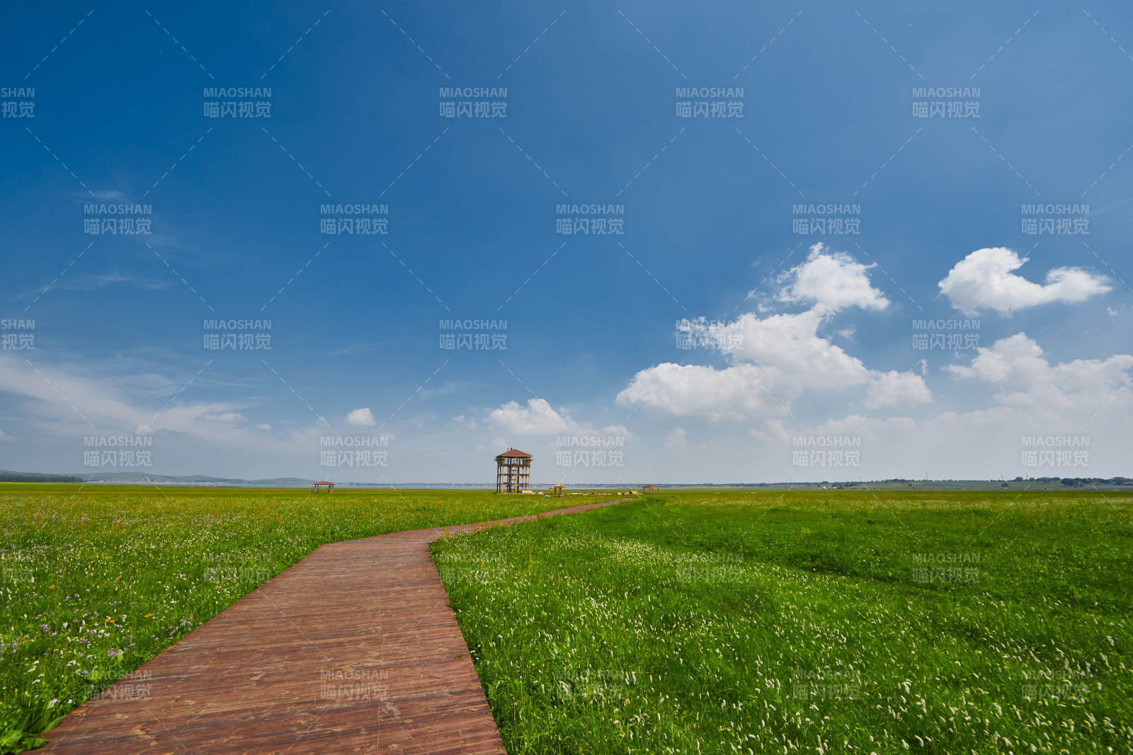 中国河北省张家口沽源县天鹅湖景区湿地花海图片