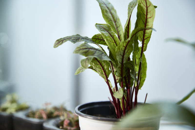 卫生间智能洁具马桶淋浴喷头水龙头图片