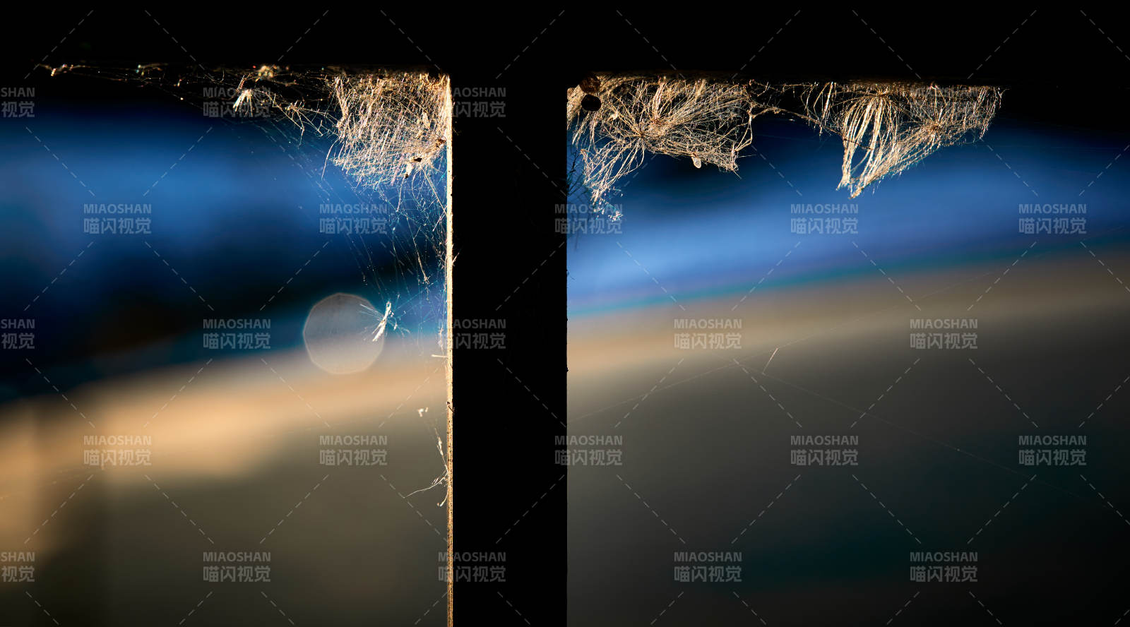 夕阳下微距拍摄的蜘蛛网图片