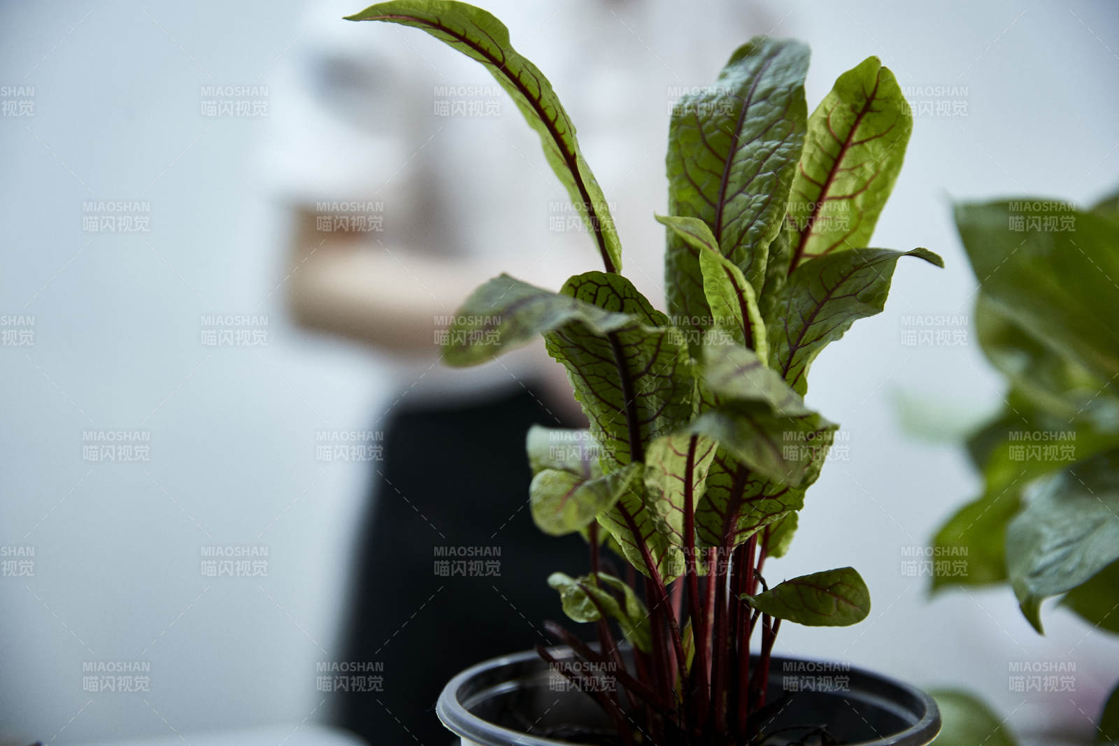 卫生间智能洁具马桶淋浴喷头水龙头图片