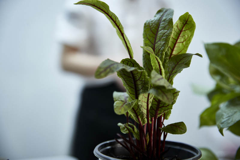 卫生间智能洁具马桶淋浴喷头水龙头图片