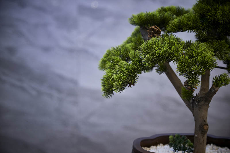 卫生间智能洁具马桶淋浴喷头水龙头图片