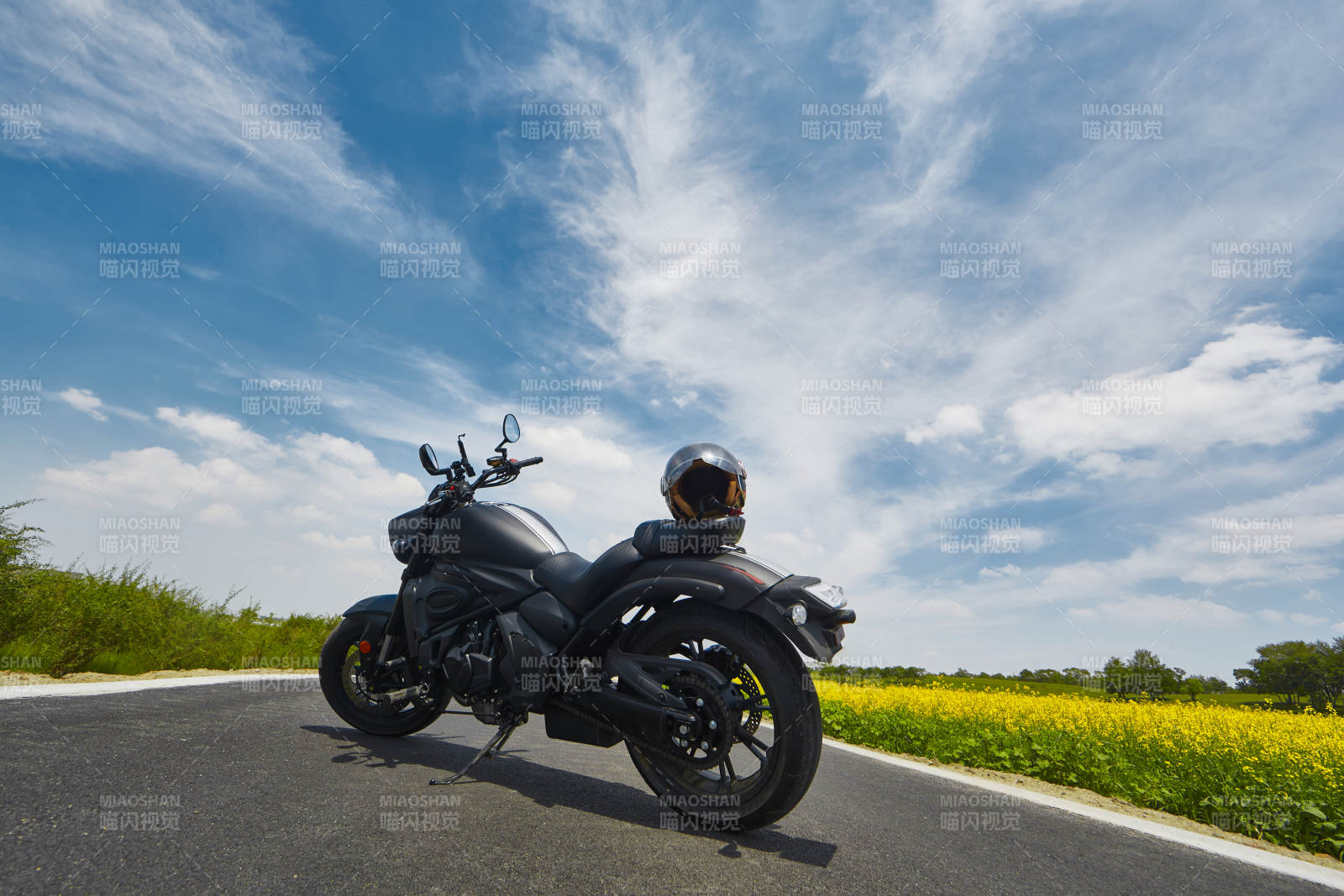 中国河北省张家口沽源县天鹅湖景区油菜花田图片