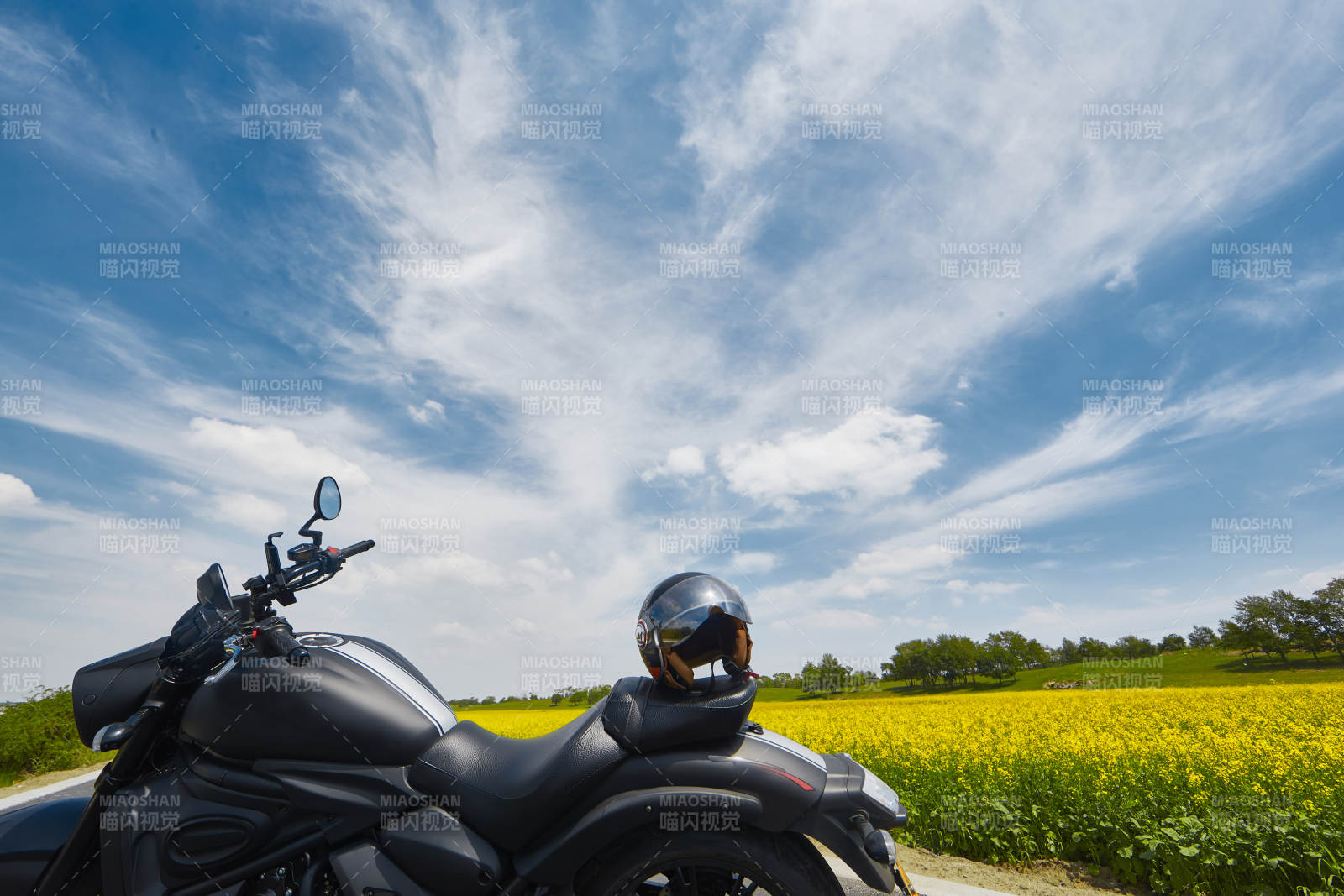 中国河北省张家口沽源县天鹅湖景区油菜花田图片