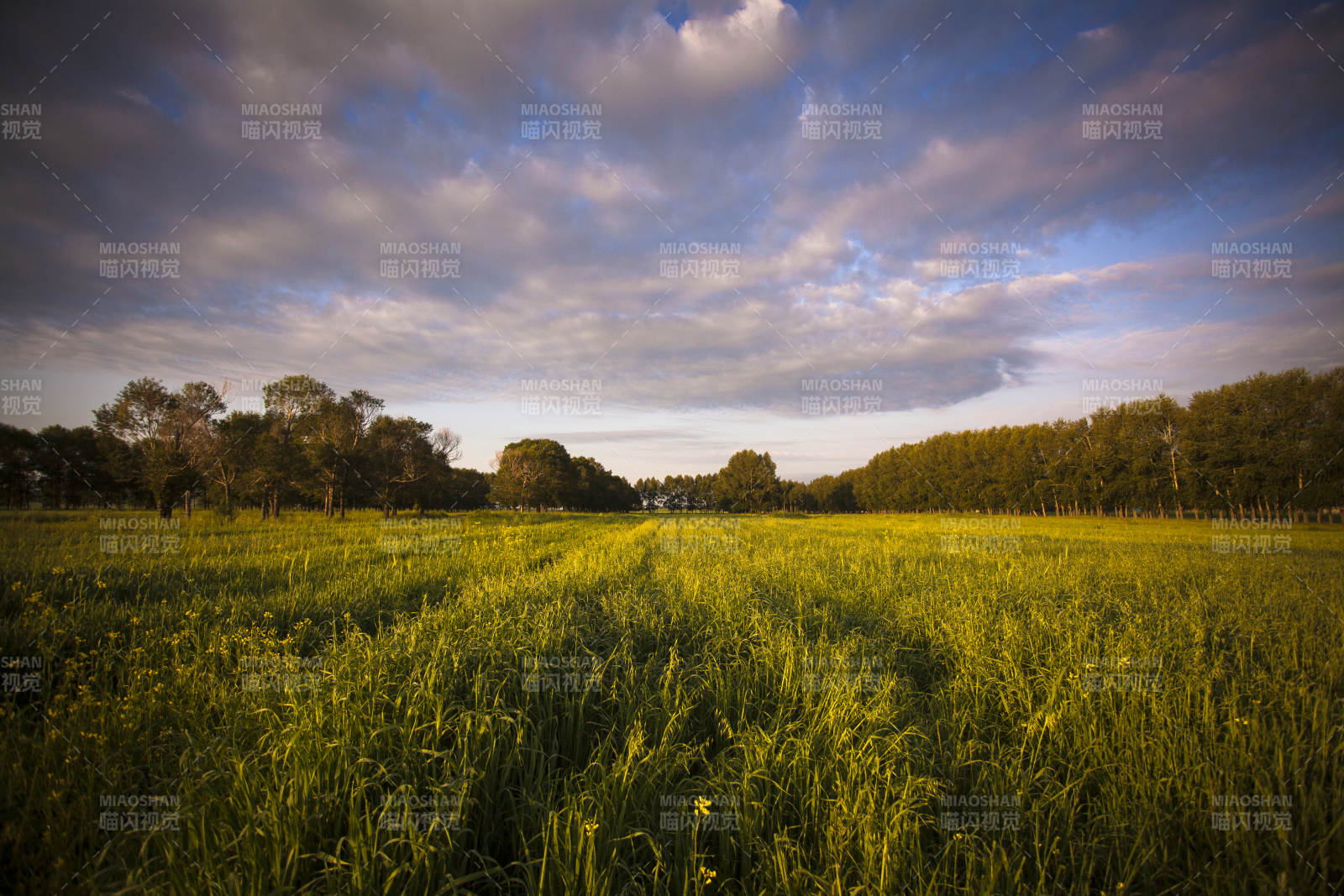 中国河北省张家口地区沽源县天鹅湖景区夏天图片