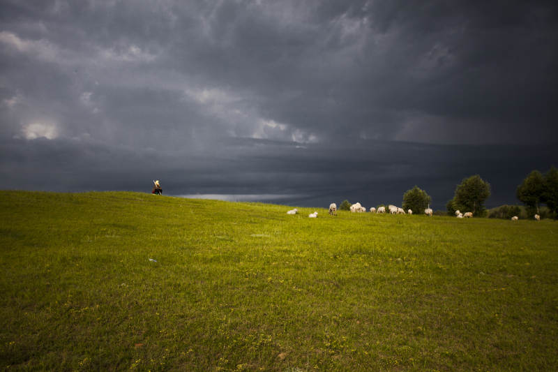 中国河北省张家口地区沽源县天鹅湖景区夏天图片